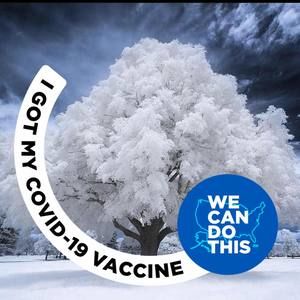 Meet your Posher, Silvia